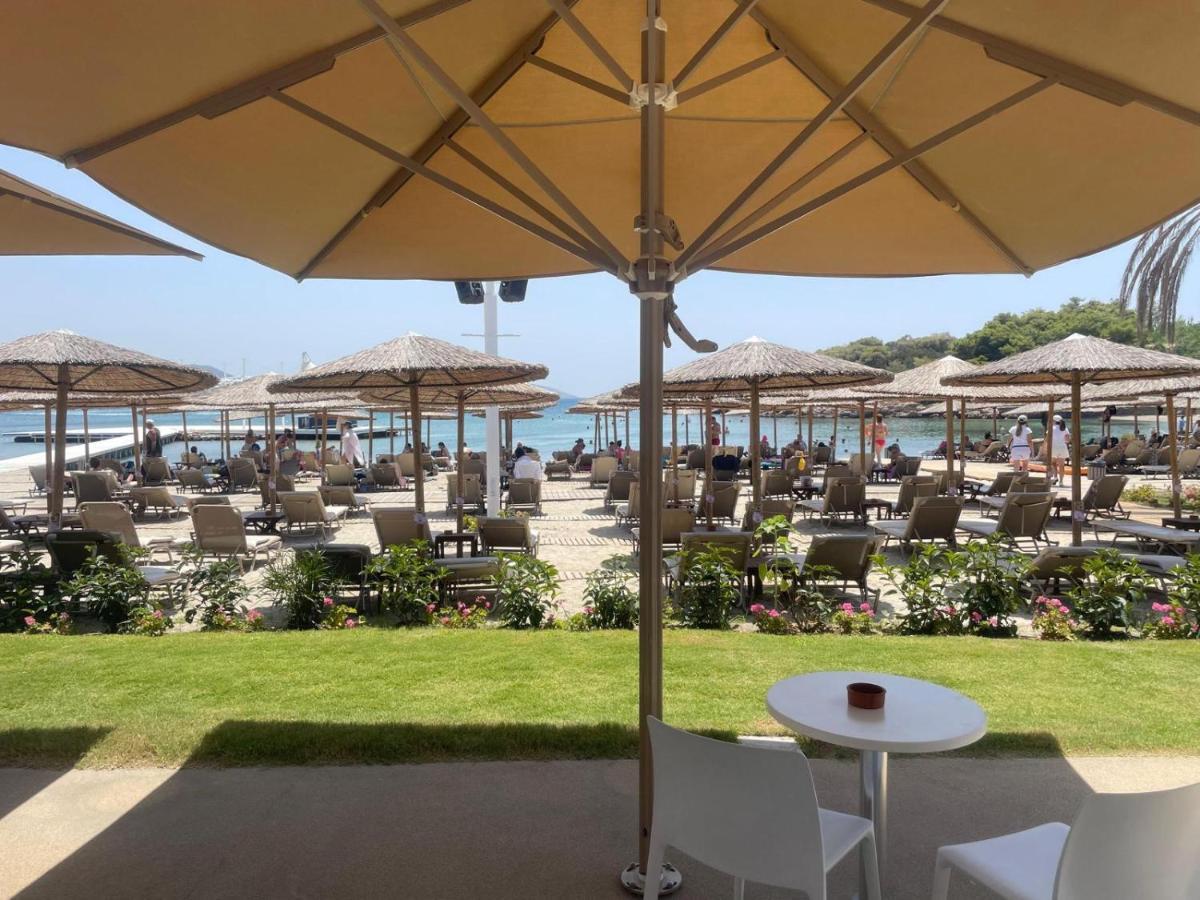Eagles Nest Villa Athenian Riviera In Aghia Marina Near Lagonisi, Next To The Beach Close To Athens Airport Agia Marina  Bagian luar foto
