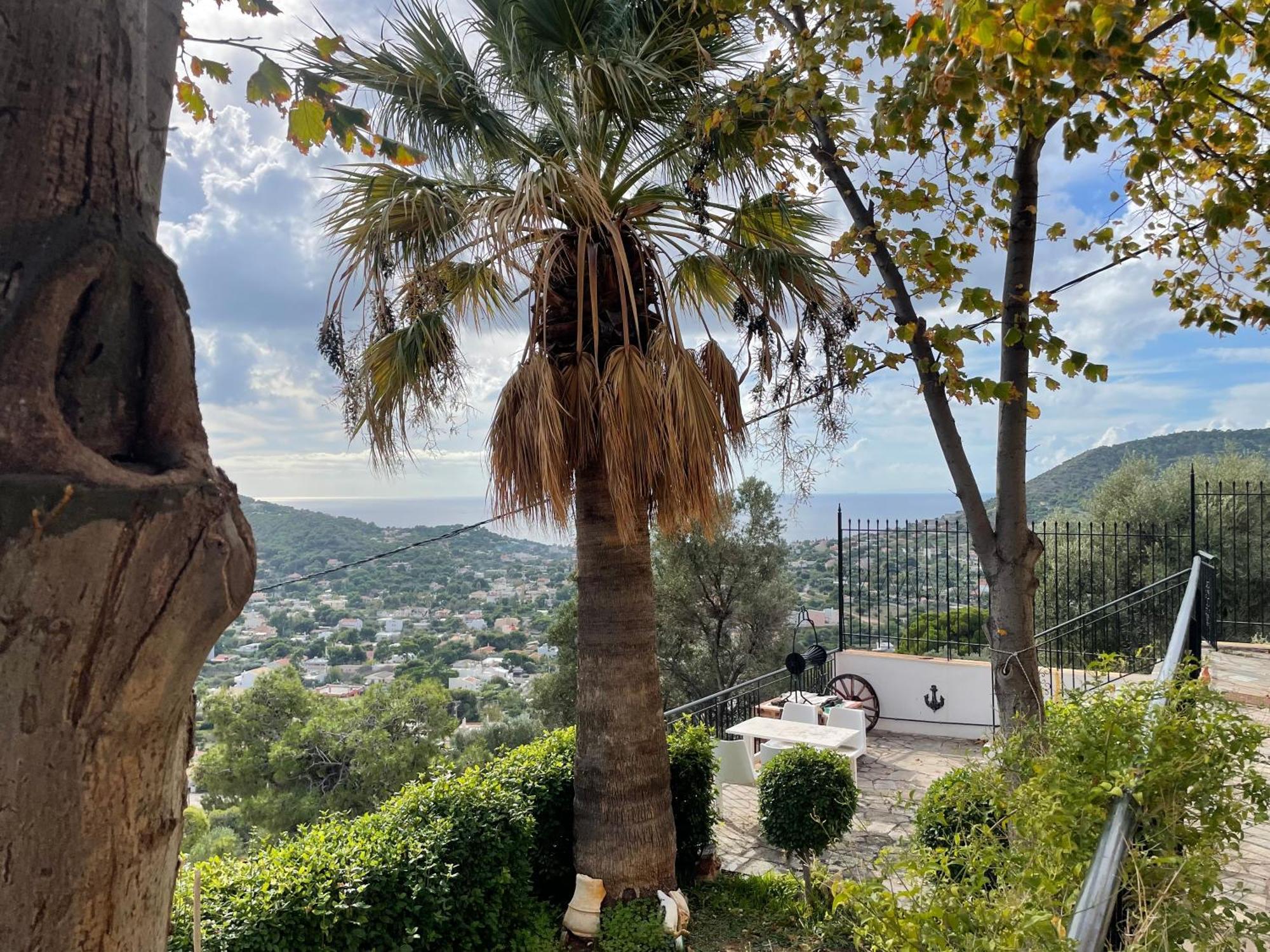 Eagles Nest Villa Athenian Riviera In Aghia Marina Near Lagonisi, Next To The Beach Close To Athens Airport Agia Marina  Bagian luar foto